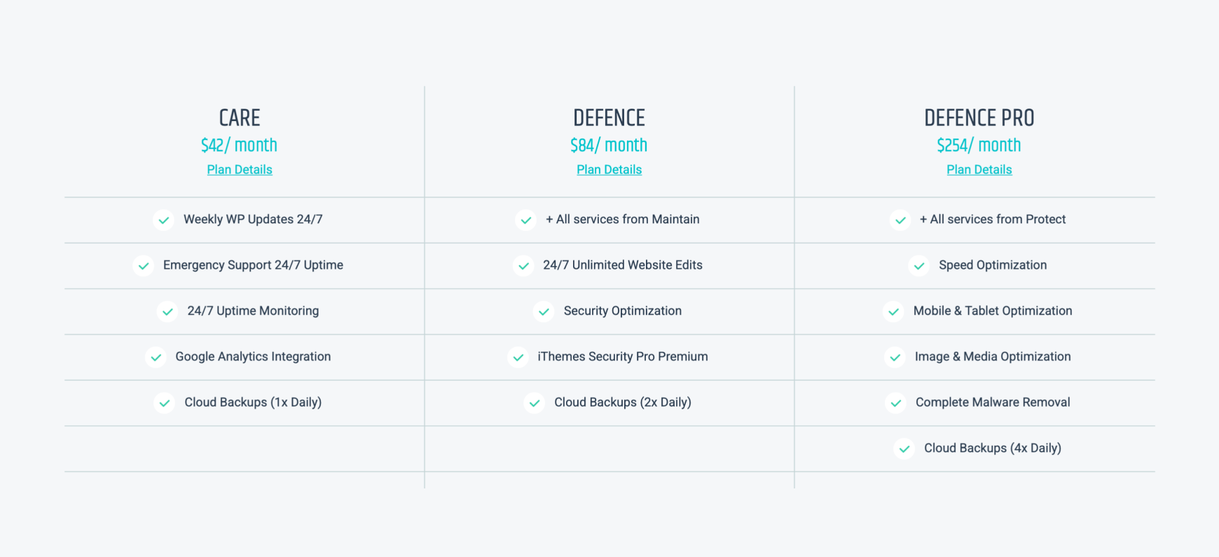 Comparison chart of website maintenance service plans showing features and pricing, reinforcing the importance of website maintenance in protecting your investment.