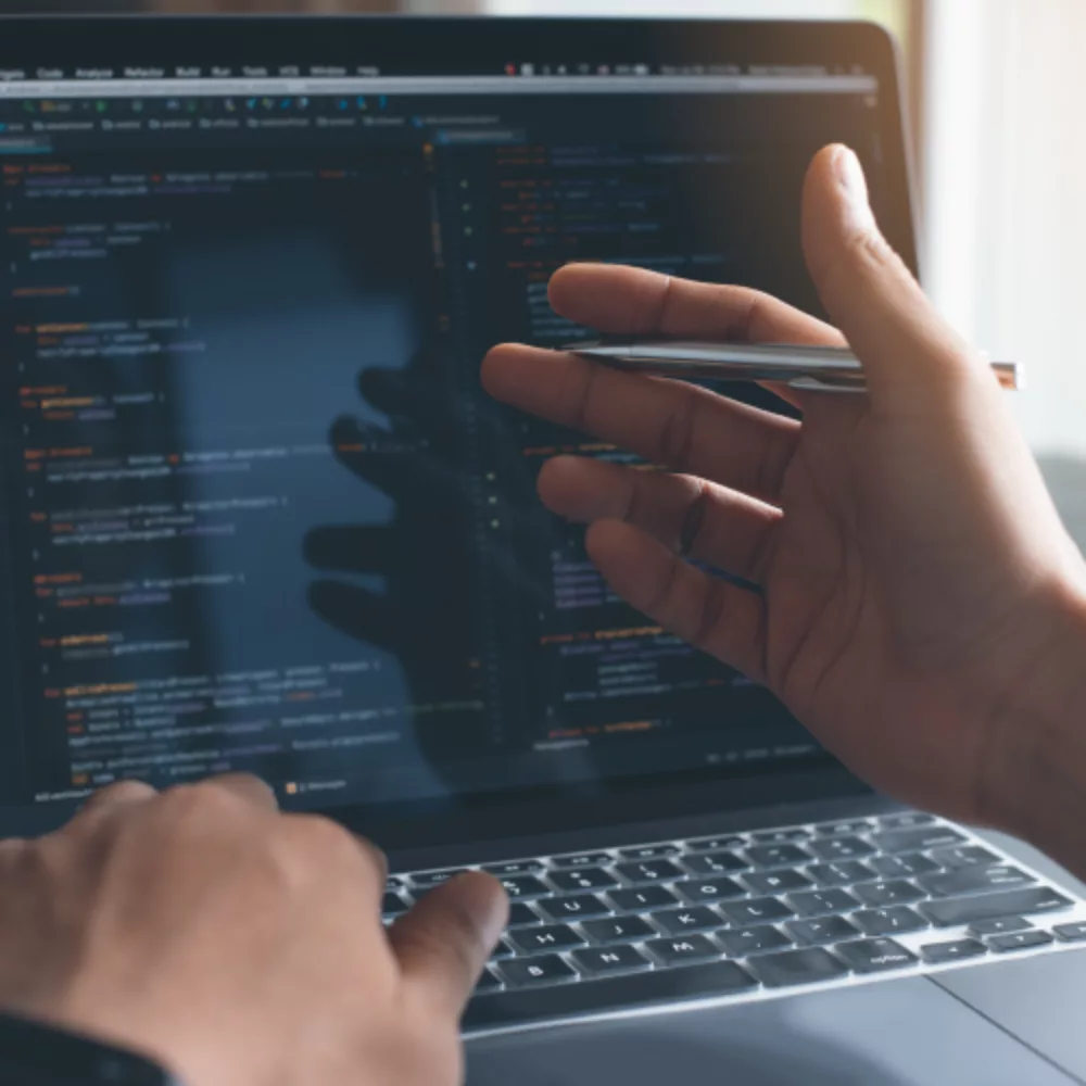 Web development