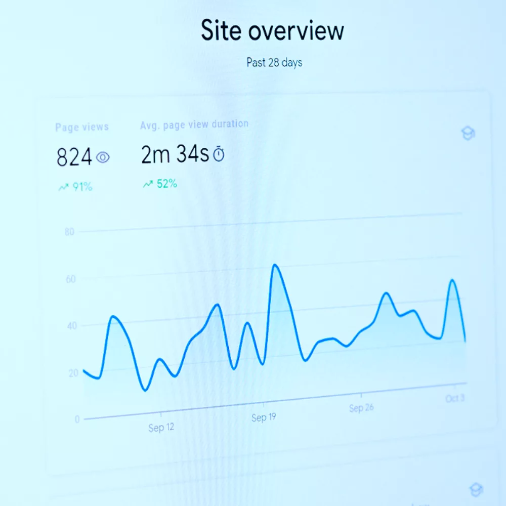 Search Engine Optimization (SEO)