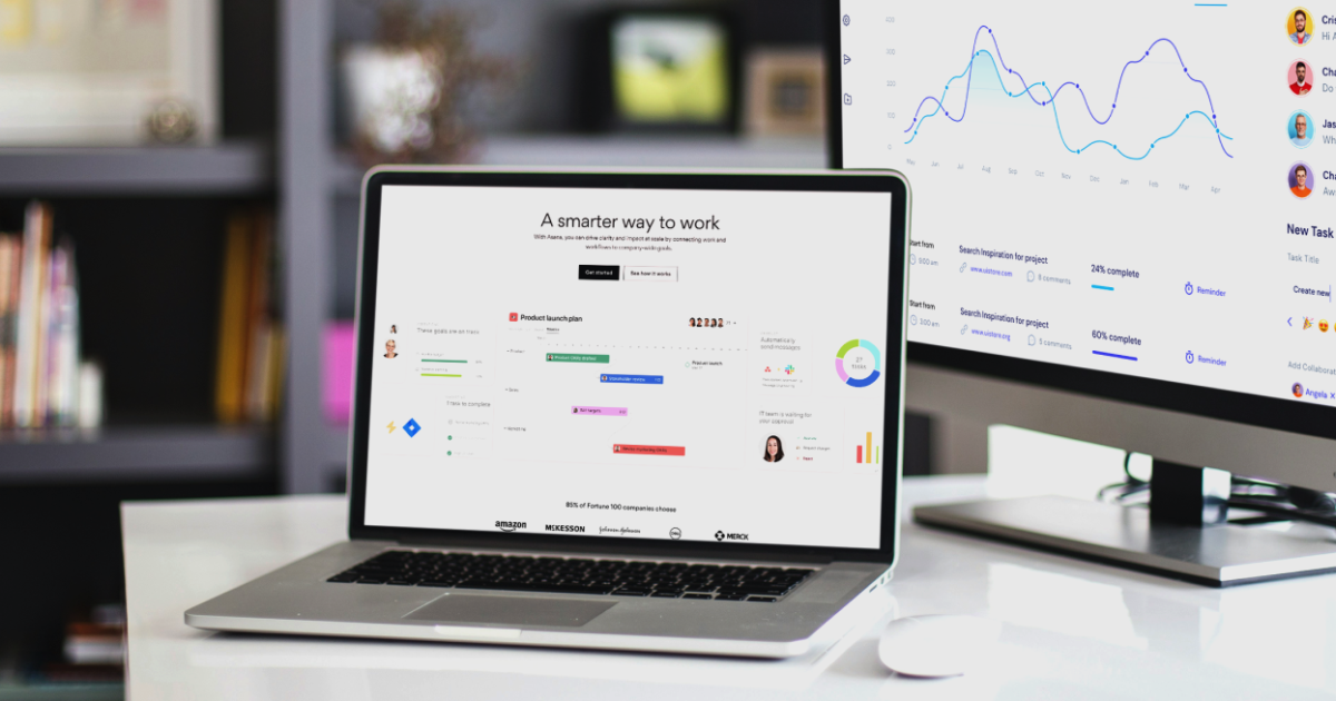 Website vs Web Application: Understanding the Key Differences