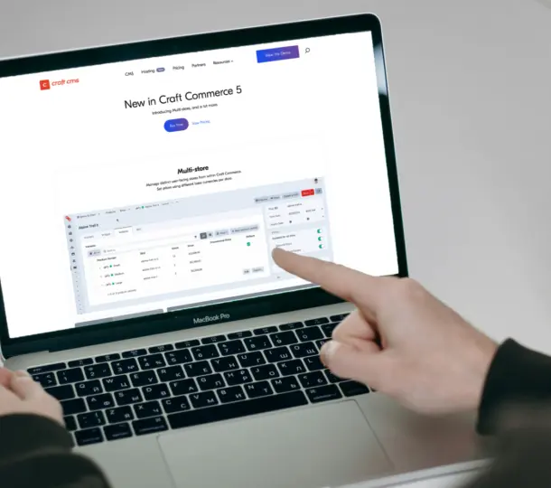 E-commerce Website Design