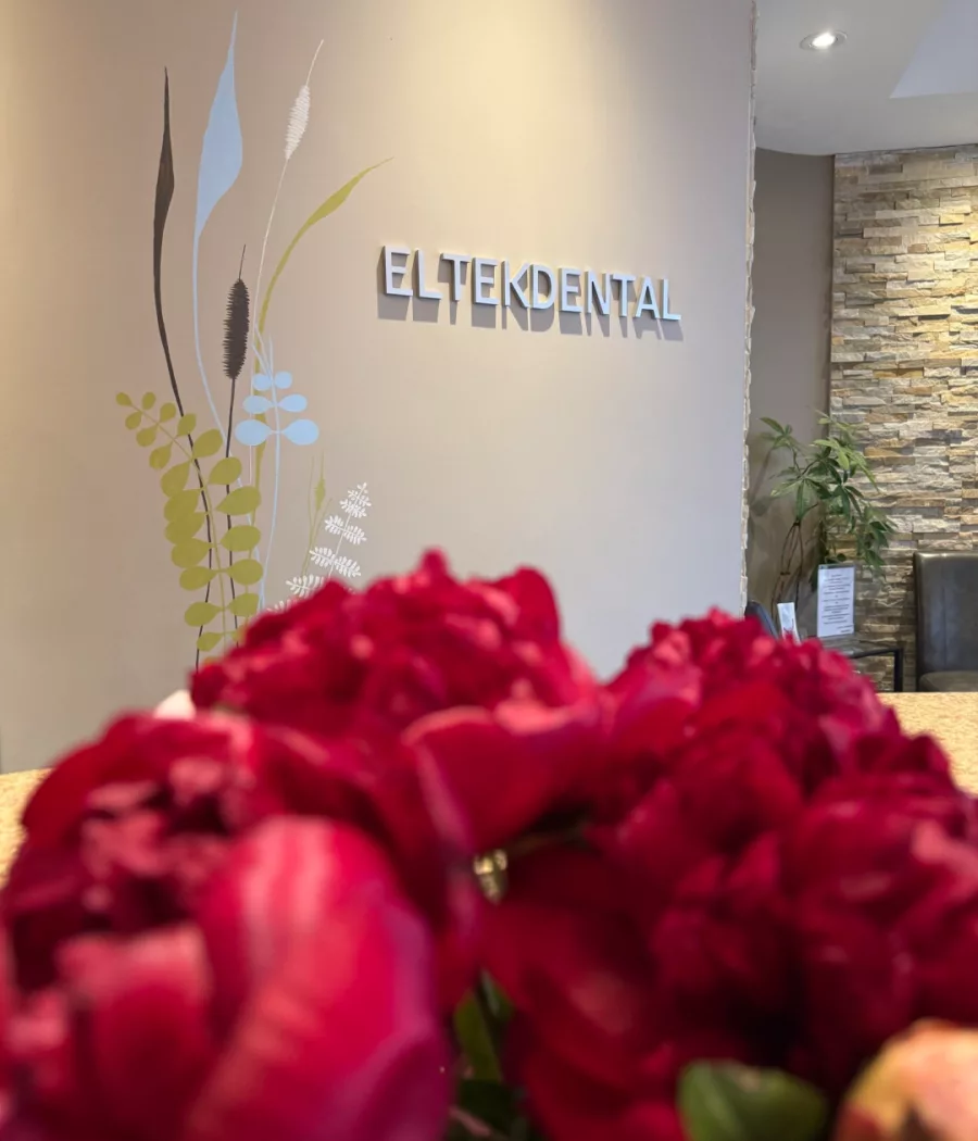 Website Design for Eltek Dental