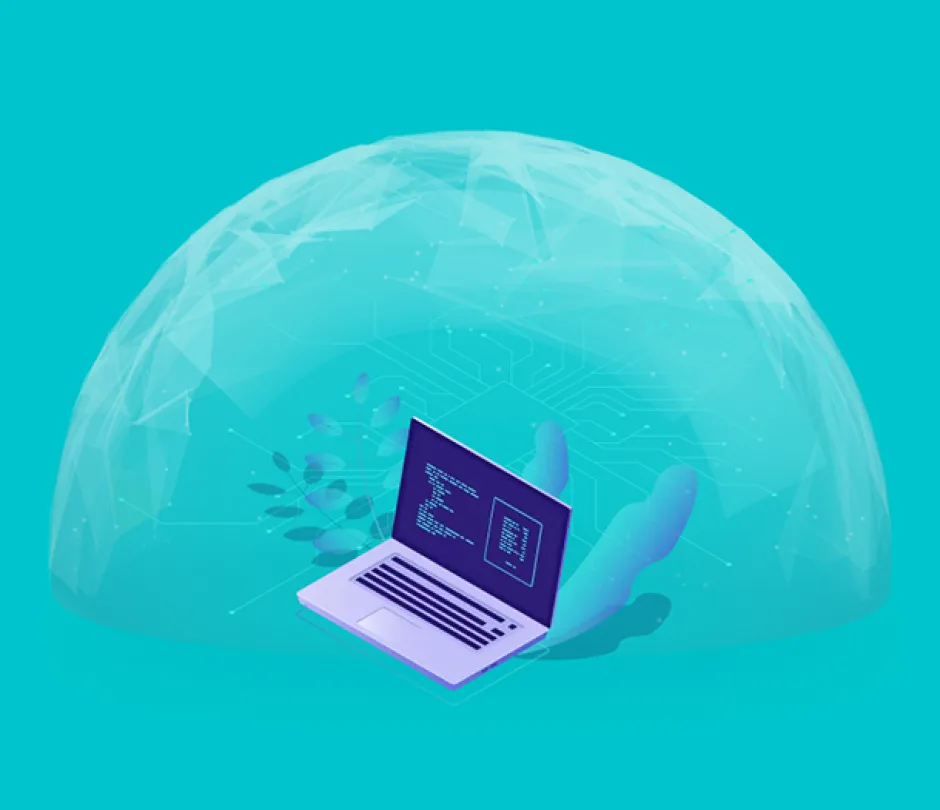 Website security and maintenance