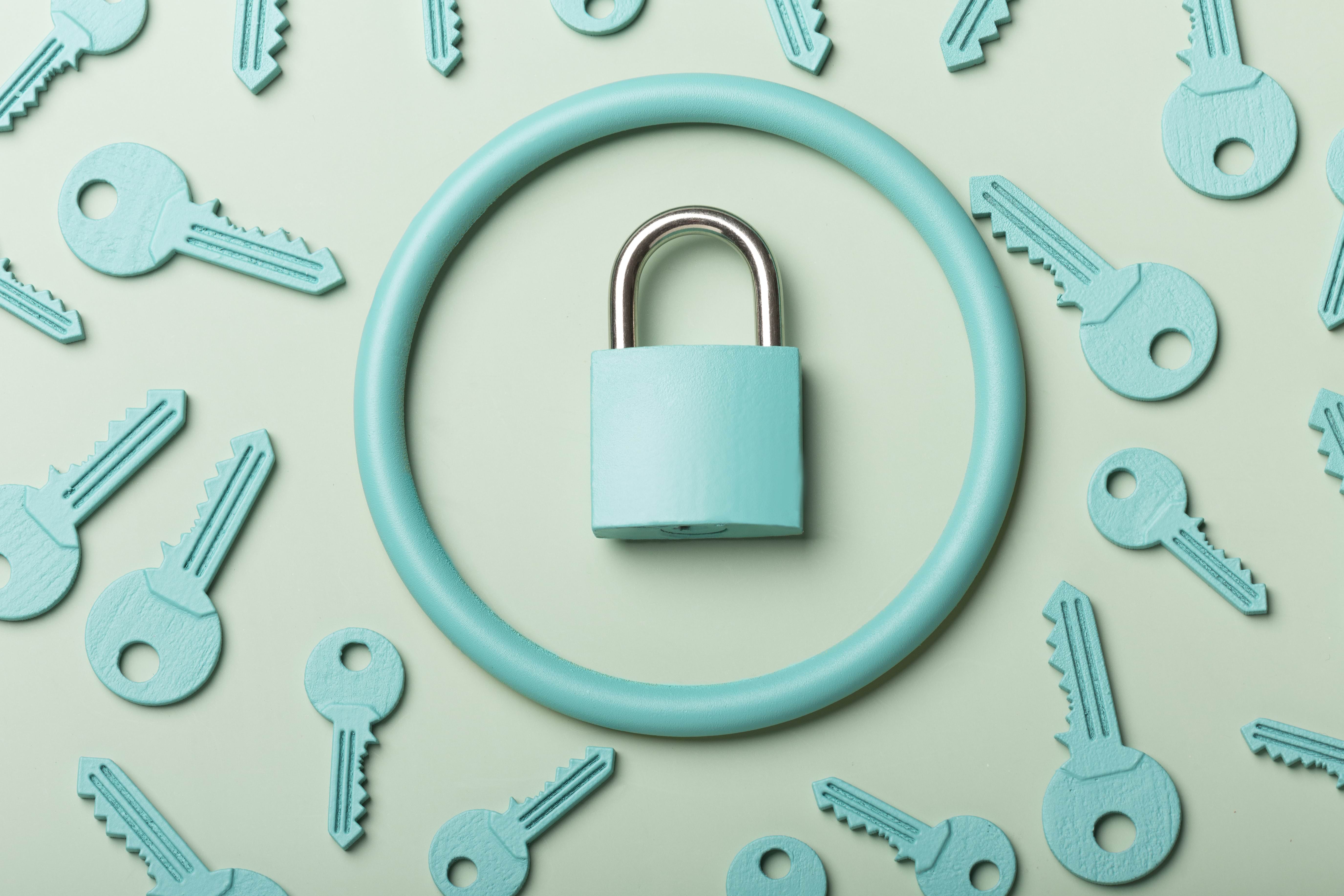 Safeguarding Your Digital Haven: A Comprehensive Guide on How to Secure Your WordPress Site